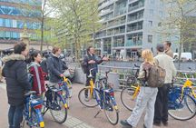 Private tour with local guide in Rotterdam