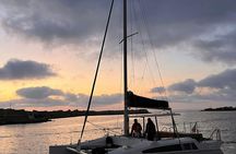 Sailing catamaran tour along the Terrasini coast