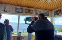 Guided walk along the white cliffs of Stevns Klint from Copenhagen