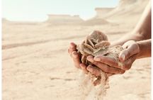 Private rock desert safari with sunset high tea from Doha