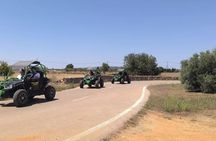 Guided buggy tour with a crystal-clear beach swim stop