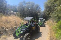 Guided buggy tour with a crystal-clear beach swim stop