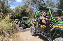 Guided buggy tour with a crystal-clear beach swim stop