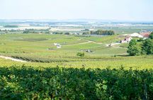 Canard-Duchêne cellar tour, sabering experience and Champagne tasting