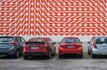 Urban art Dreispitz guided tour in Basel