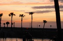 Gator Night 1-Hour Nighttime Airboat Tour at Sawgrass Recreation Park