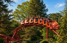 Paris Jardin d'Acclimatation day pass with city audio guide and eSIM
