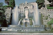Tivoli and its Villas Guided Tour from Rome with Meeting Point