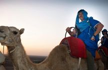 Agafay desert camel ride