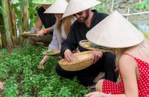 Vietnamese cooking class and market tour experience