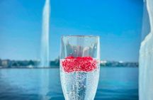 Private sailboat trip from Geneva