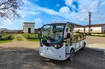 Flamingo ecosafari tour in electric minibus at Molentargius Park