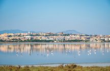 Flamingo ecosafari tour in electric minibus at Molentargius Park