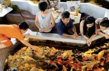 Saigon Opera House and café tour in Ho Chi Minh City