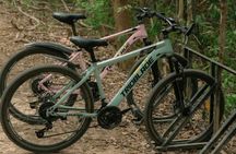 Nam Cat Tien National Park guided tour from Ho Chi Minh City