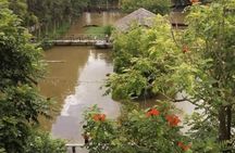 Lung Ngoc Hoang Nature Reserve half-day excursion from Can Tho