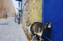 Essaouira excursion with lunch from Marrakech