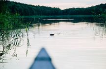 Stockholm sunset canoe beaver tour with dinner by the water