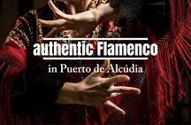 Flamenco show with masterclass and Iberian meats platter in Alcúdia