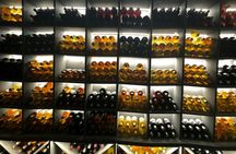 E-bike and wine tour on Lake Geneva