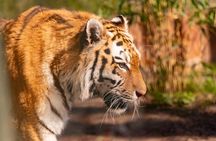 ZooParc Overloon entrance ticket