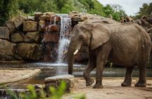 Safari adventure at Safaripark Beeksee Bergen