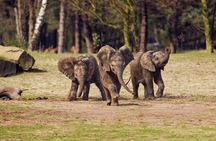 Safari adventure at Safaripark Beeksee Bergen