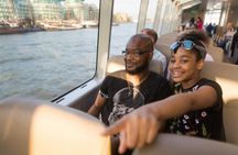 London evening bus tour and scenic boat ride on the Thames