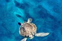 The Aphrodite II Cruise in Cyprus