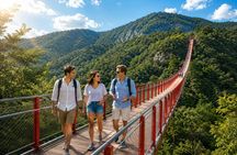 DMZ and Mt. Gamaksan Red Suspension Bridge Tour from Seoul