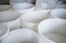 Fuerteventura goat cheese-making workshop with tasting
