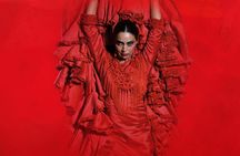 The premium experience at Teatro Flamenco Sevilla