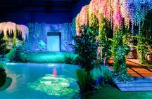 Entrance ticket to Monet: The Immersive Experience in Toronto
