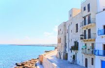 Alberobello, Monopoli, and Polignano guided tour from Bari or Polignano a Mare