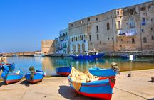 Alberobello, Monopoli, and Polignano guided tour from Bari or Polignano a Mare