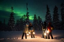 Northern lights tour in the dark from Sälen