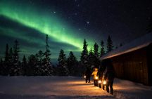 Northern lights tour in the dark from Sälen