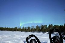 Northern lights tour in the dark from Sälen