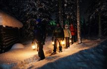Northern lights tour in the dark from Sälen