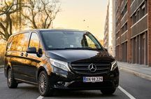 Private Copenhagen layover sightseeing tour from the airport