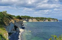 Guided walk along the white cliffs of Stevns Klint from Copenhagen