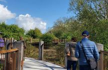 Denmark's Viking Age and royal history day tour from Copenhagen