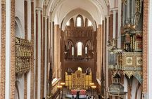 Denmark's Viking Age and royal history day tour from Copenhagen