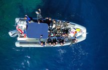 Tavolara protected area snorkelling experience from San Teodoro
