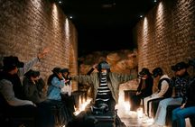 Ancient Theatre of Orange and Museum of Art guided tour