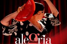 1-hour flamenco show at Malaga's Alegría