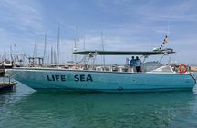 Dolphin watching excursion in Mallorca