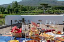Vesuvius vineyards tour with wine tasting and local lunch