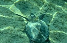 Lindos Cave and snorkelling 3-hour private cruise