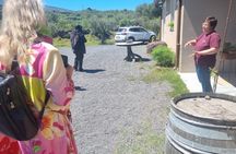 Private Castiglione, Alcantara Gorges and wine tasting tour